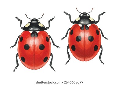 Charming  ladybugs with vivid red shells and delicate spots-perfect for spring decor, children's designs, or nature-inspired art. Whimsical, lively, and bursting with character.