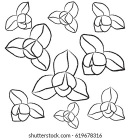 Charming of Lamduan Flowers illustration (vector)