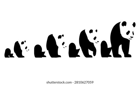 A charming lineup of five adorable panda bears sitting in a row, showcasing their black and white fur pattern and playful expressions.