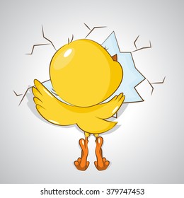 Charming little chicken hatched from eggs, looking with the nature around. Vector illustration.
