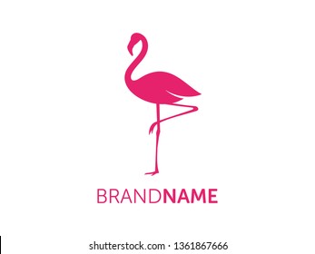 Charming logo design illustration flamingo.