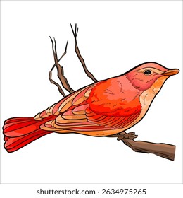 charming Macaw illustration that captures the beauty of nature - suitable for cards, decor, and more.
