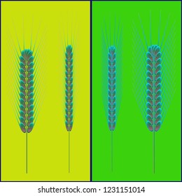 Charming magian multicolor spica simple pattern.