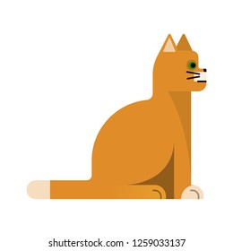 Charming orange cat with white paws. Flat icon. Vector illustration design. Pet sits.