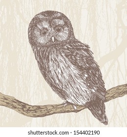 charming owl, hand drawing, vector illustration