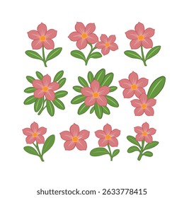 Charmosas ilustrações de flor rosa Uma coleção de bonitos desenhos florais