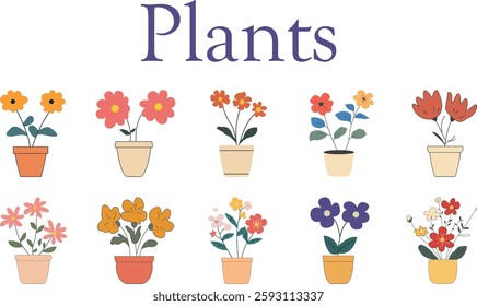 Charming Potted Flowers Collection Joy