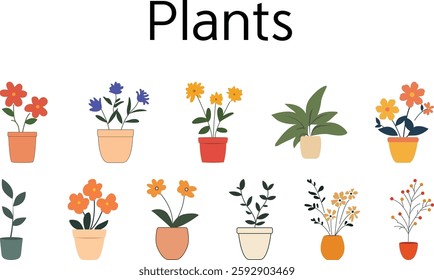 Charming Potted Plants Collection Joy