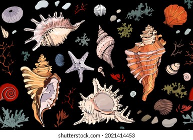 Charming seamless pattern of seashells on black background. Sketch echinus, starfish, seaweed, coral, clam. Hand drawn isolated marine elements for your design. Endless texture, vector illustration. 