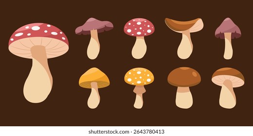 A charming set of colorful mushroom illustrations in flat style.