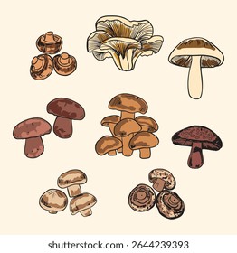 Um charmoso conjunto de cogumelos gourmet desenhados à mão, incluindo chanterelle, porcini, cremini, shiitake e muito mais. Perfeito para impressões botânicas, decoração de cozinha, embalagem de alimentos e design de receitas.