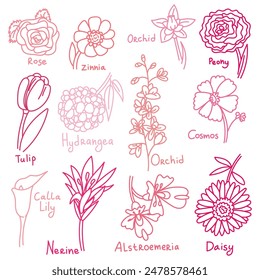 Charming set of pink flowers made in a whimsical doodle style, each with its own unique name and color. Perfect for adding tenderness and beauty to your design. A collection of flowers with the name