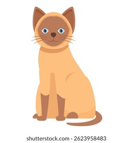 Charming siamese cat is sitting calmly, its blue eyes sparkling with curiosity