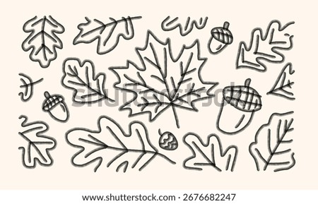 A charming and simple line art illustration featuring a doodle pattern of autumnal leaves and acorns. Perfect for fall-themed designs, scrapbooking, and decorative projects.