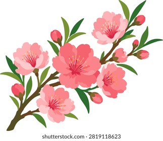 Charming soft pink cherry blossom branch filled with delicate spring petals.