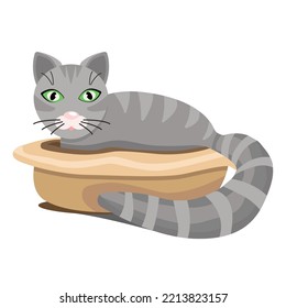 A charming, striped, gray cat lies in a sunbed, isolated on a white background.Vector illustration of an animal.