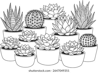 Charming Succulent Collection A Black and White Array of Potted Plants Displayed in Harmonious Composition Ideal for Coloring Enthusiasts