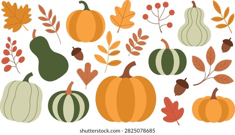 A charming vector collection of autumn elements including colorful pumpkins, decorative gourds, leaves, and acorns. Perfect for seasonal marketing, holiday templates, scrapbooking, and autumn-themed projects.
