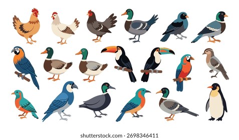 Uma coleção de vetor encantador apresentando uma variedade diversificada de várias espécies de aves, de galinhas domésticas a papagaios exóticos e pinguins, no branco.