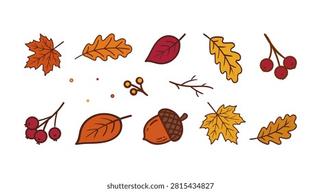 A charming vector element set featuring a variety of hand-drawn autumn foliage, including vibrant maple leaves, oak leaves, acorns, red berries, and small twigs. Isolated on a white background, these cozy fall clipart elements are perfect for Thanksgiving invitations, autumn social media posts, greeting cards, scrapbooking, sticker packs, and seasonal branding designs.

#AutumnVector #FallFoliage #AutumnLeaves #AcornIllustration #ThanksgivingClipart #VectorSet #FallVibes #GraphicDesign #SeasonalIllustration #DoodleArt