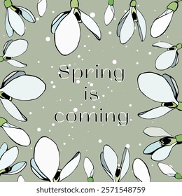 charming vector illustration featuring delicate snowdrop flowers and the phrase Spring is coming on a soft green background. Perfect for seasonal designs, greeting cards, and nature-inspired projects