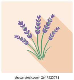 A charming vector illustration of lavender flowers, showcasing their delicate purple blossoms and green stems