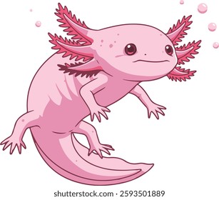 A charming vector illustration of a pink axolotl, a type of aquatic salamander known for its unique appearance and regenerative abilities.