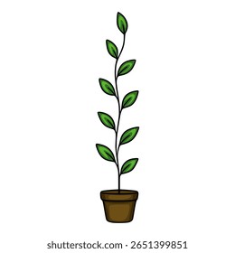 A charming vector illustration of a slender houseplant with vibrant green leaves in a brown pot, perfect for adding a touch of nature to your designs.