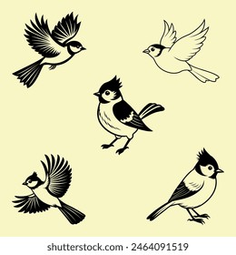 A charming vector illustration of a titmouse bird, capturing its delightful features with vivid colors and intricate details. Perfect for nature-themed designs, birdwatching enthusiasts, and ornitholo