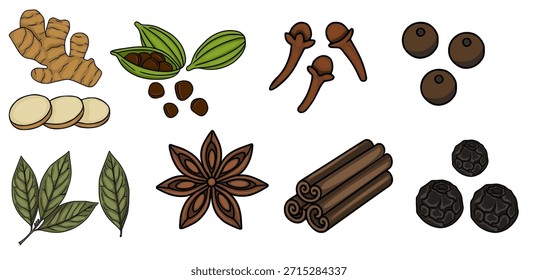 Um vetor encantador ilustração de várias especiarias inteiras e fatiadas, incluindo gengibre, vagens de cardamomo e sementes, cravo-da-índia, pimenta, louro, anis estrelado e paus de canela, apresentados individualmente...