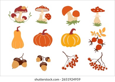 Charming vector illustrations of key autumn symbols: physalis, viburnum, rowan, mushrooms, acorns, pumpkins. Stylized, decorative. Ideal for prints, packaging, web. Warm palette.