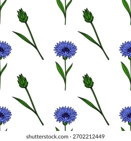 A charming vector seamless pattern featuring delicate blue cornflowers and their green buds, set against a clean white background, evoking a fresh and natural aesthetic.