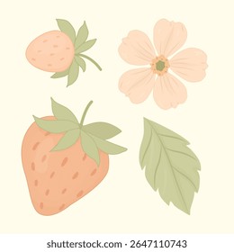 A charming vintage style vector set featuring hand-drawn strawberries, a delicate flower, and a leaf in soft pastel colors. Ideal for food packaging, recipe cards, children's books, and spring designs