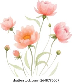 A charming watercolor illustration featuring several soft peach peony flowers and buds with delicate green stems and leaves, isolated on a transparent background.