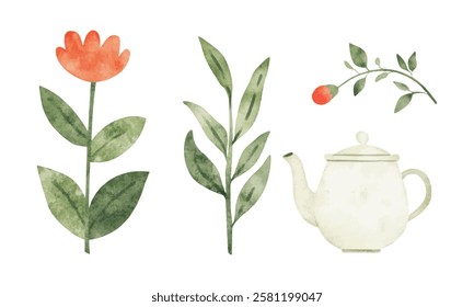 A charming watercolor illustration featuring simple botanical elements, including green leaves, a red flower, a berry branch, and a vintage teapot, in a minimalist style