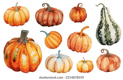 Encantadora calabaza de acuarela y colección de calabaza con tonos cálidos de otoño. Ideal para diseños de temática otoñal, eventos de cosecha, decoración de Acción de Gracias y proyectos artísticos que celebran la temporada de cosecha.