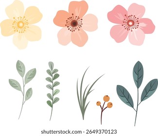 Elementos charmosos de flores silvestres para uso decorativo