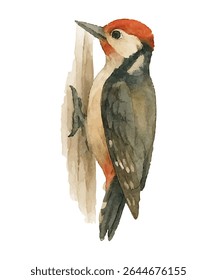 Charming  woodpecker perched on a tree trunk. Hand-painted clipart in rustic tones, perfect for nature-themed designs, DIY projects, wildlife prints, and woodland nursery decor.