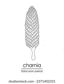 Charnia, an Ediacaran period creature, black and white line art. Perfect for coloring and educational purposes.