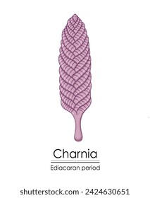 Charnia, an Ediacaran period creature, is vividly illustrated against a white background, representing early life on Earth.