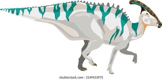 Charonosaurus is a herbivorous ornithopod dinosaur. Vector illustration