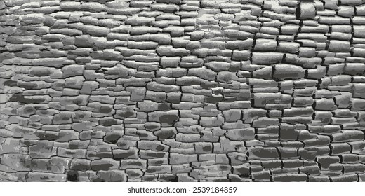 Charred wood texture. Vintage burnt wood background. Vector illustration