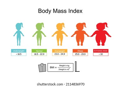 Gráfica del rango de índice de masa corporal adulto con estado de peso desde peso inferior al normal a extremadamente obeso con calculadora de IMC y mujeres con dibujos animados.Concepto de atención médica.Vector.Ilustración.