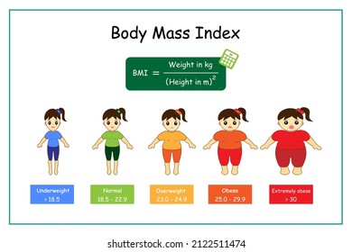 Gráfica del rango de índice de masa corporal adulto con estado de peso desde peso inferior al normal a extremadamente obeso con calculadora de IMC y mujeres con dibujos animados.Concepto de atención médica.Vector.Ilustración.