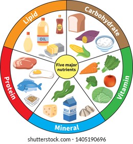 Chart Of Five Major Nutrients