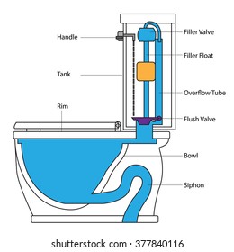 Chart Flush Toilet System Vector Illustrations Stock Vector (Royalty ...