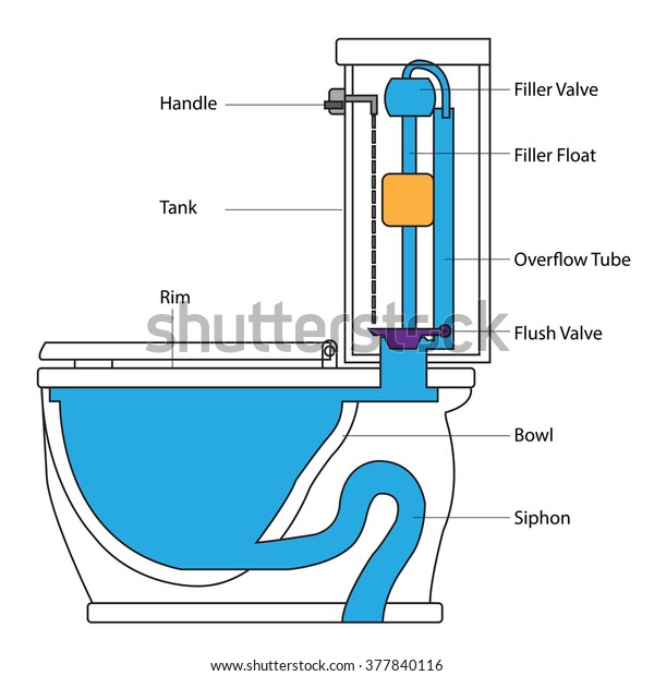 Chart Flush Toilet System Vector Illustrations Stock Vector (Royalty ...