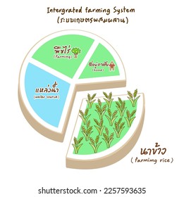 Chart for Integrated Farming System in Thai Language it mean “Integrated Farming System, rice farming, farming, water source, home”