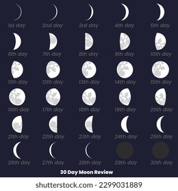 A chart of the moon review with the date of the month. 30 Day Moon Set, Review. 30 Day Moon Review. Moon phases astronomy icons set, vector illustration. Isolated outline symbol.