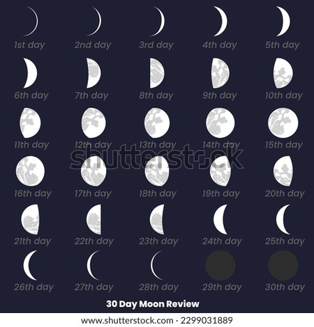 A chart of the moon review with the date of the month. 30 Day Moon Set, Review. 30 Day Moon Review. Moon phases astronomy icons set, vector illustration. Isolated outline symbol.